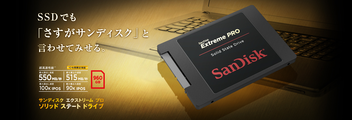 SSDでも「さすがサンディスク」と言わせてみせる。サンディスク エクストリーム プロ