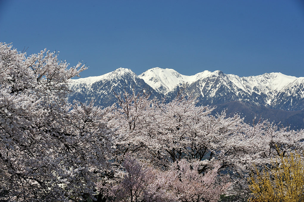 【萩原俊哉】風景写真を美しく撮影するポイント