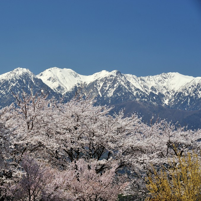 【萩原俊哉】風景写真を美しく撮影するポイント