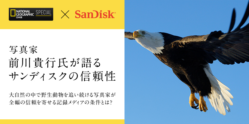 サンディスク エクストリーム・チーム 前川貴行氏が語るサンディスクの魅力