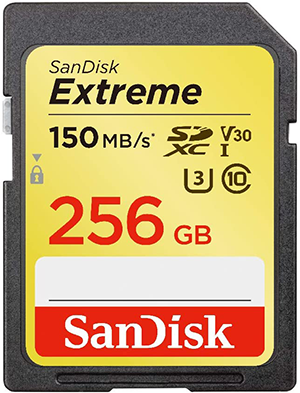 「SanDisk エクストリーム」