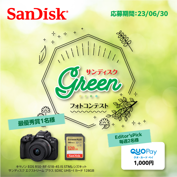 【結果発表】サンディスク 「Green」フォトコンテスト