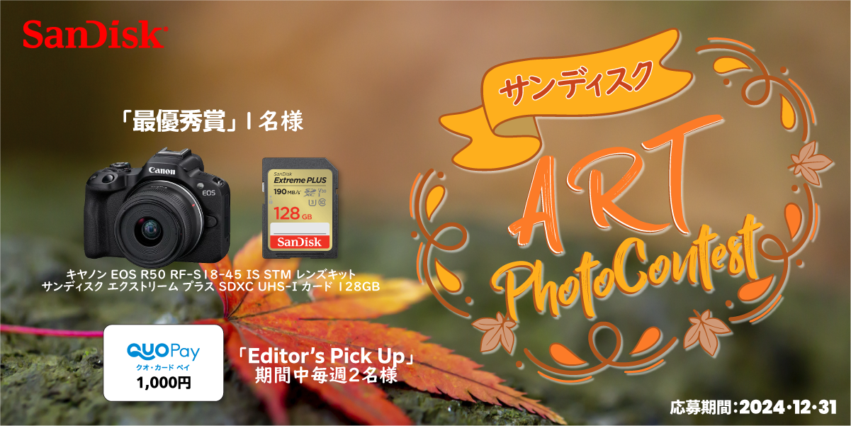【結果発表】サンディスク 「ART」フォトコンテスト