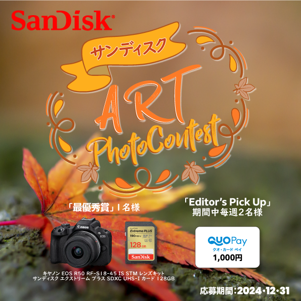 【結果発表】サンディスク 「ART」フォトコンテスト