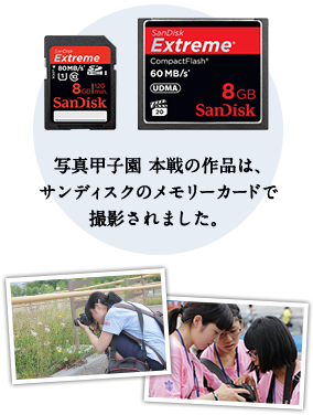 写真甲子園 本戦の作品は、サンディスクのメモリーカードで撮影されました。