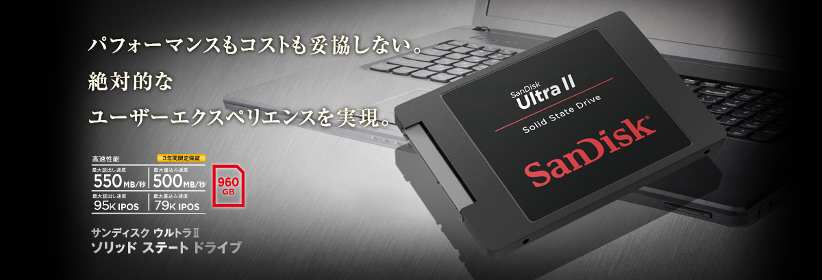 パフォーマンスもコストも妥協しない。絶対的なユーザーエクスペリエンスを実現。サンディスク ウルトラ Ⅱ